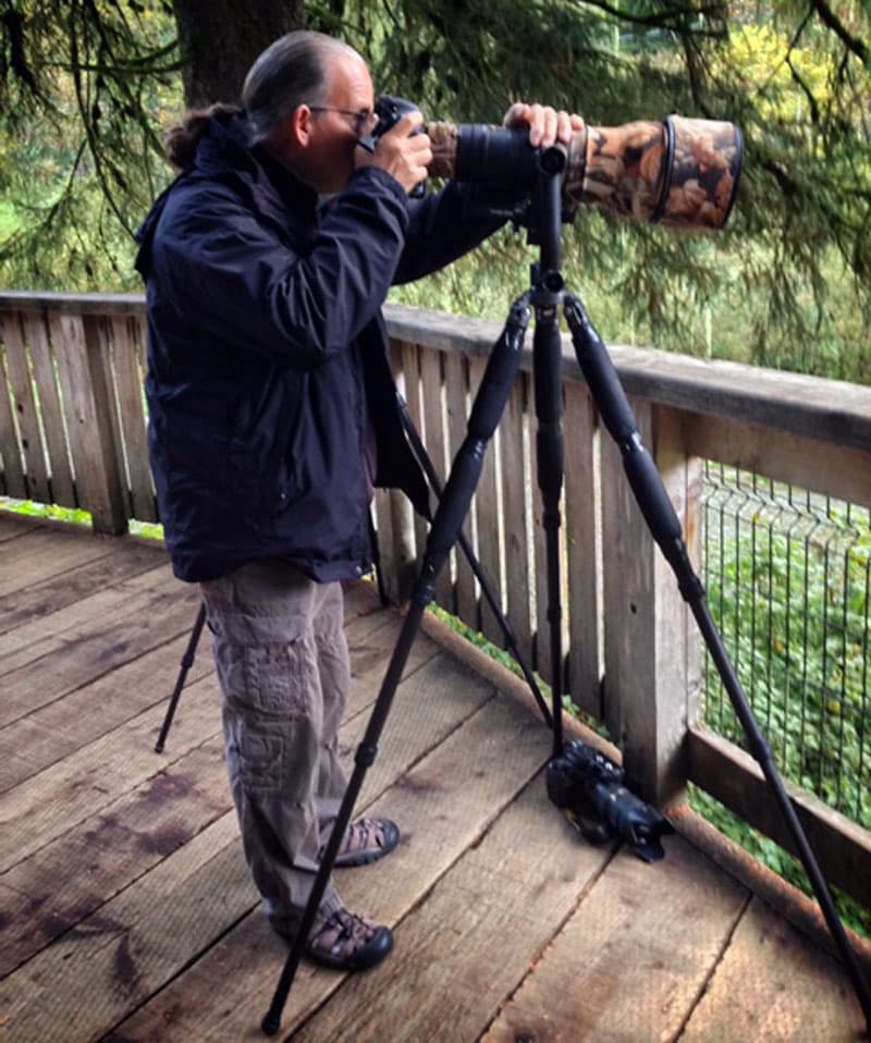 Bear platform for photographers in Hyder, Alaska