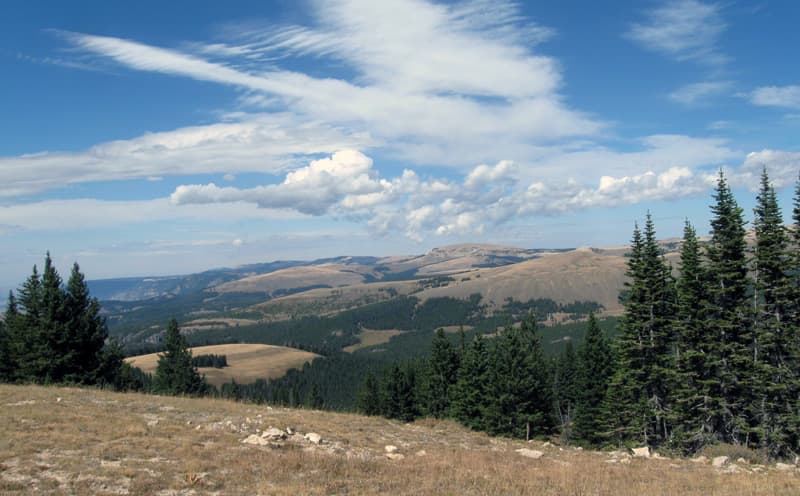 Porcupine Campground USFS Wyoming