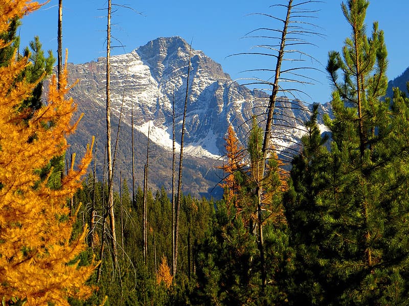 Glacier National Park, Quartz Lake Trail