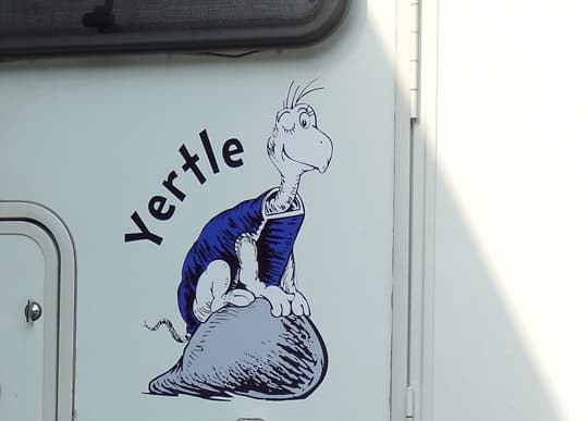 camper name yertle turtle