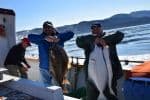 Alaska-Tour-Proposal-15
