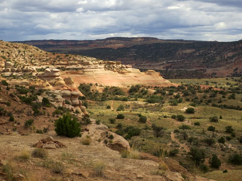 Rabbit Valley BLM land in Utah