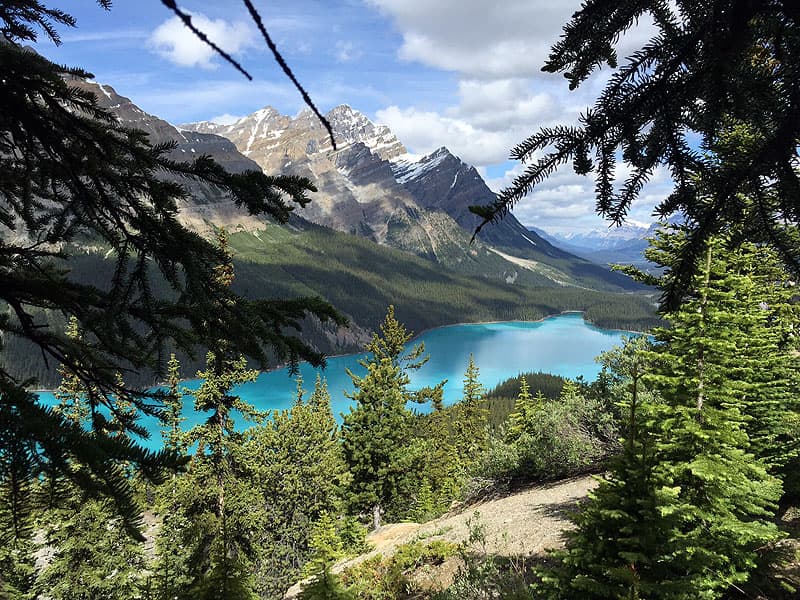 Peyto Lake on the Icefields Parkway