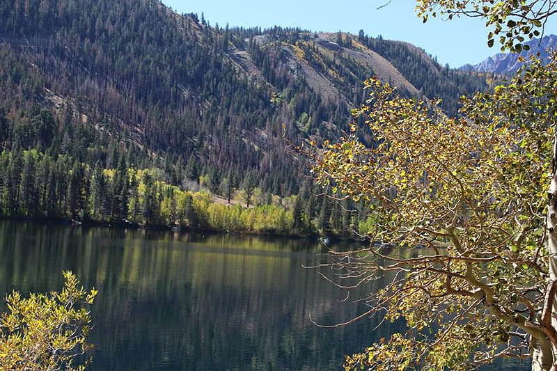 June Lake area along Hwy 395, with the leaves