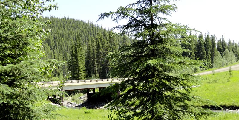 Road into Brown Creek Provincial Recreation Area