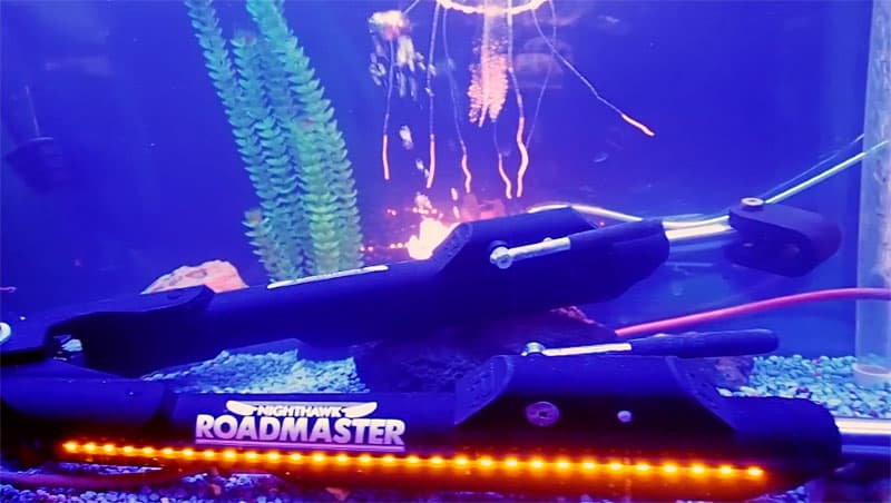 Roadmaster Nighthawk in fish tank
