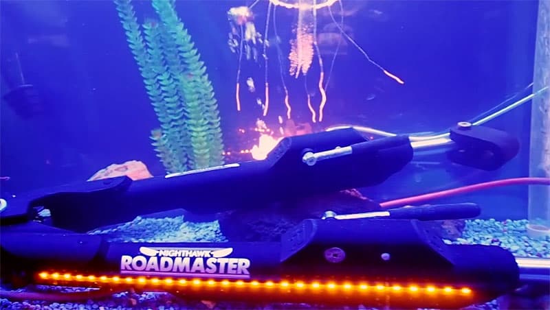 Roadmaster Nighthawk in fish tank