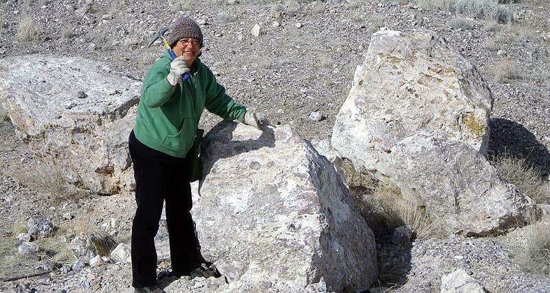 Rock hounding in the New Mexico desert