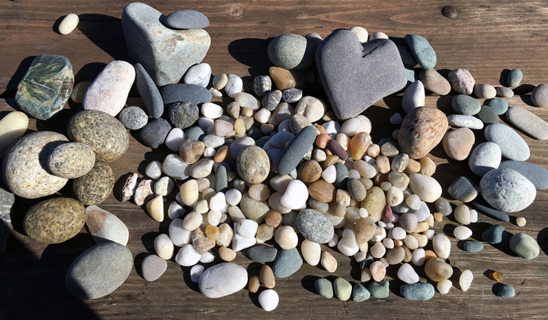 Rocks from Homer, Alaska