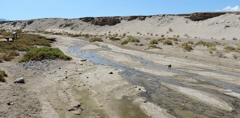 Salt Creek in Death Valley