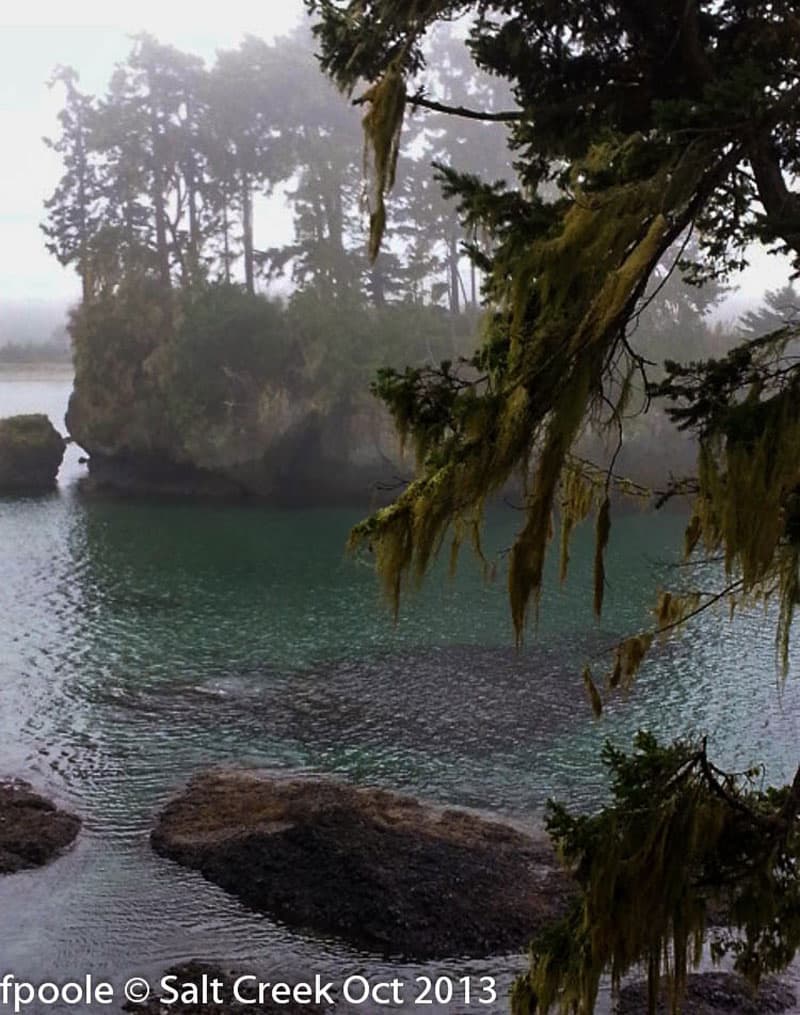 Salt Creek Campground Washington