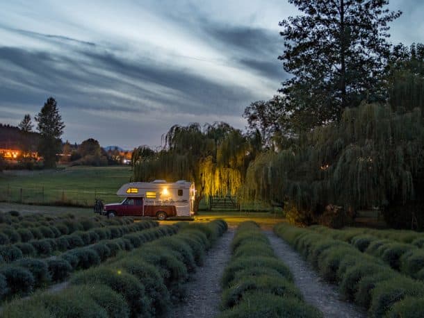 #201 - Cayetano GilSequim, Washington1995 Ford F3502002 Lance 1130Camera Used - Canon 70DThis photo was taken at a lavender farm in Sequim, Washington.  Although by that time we were off season to enjoy the farm, we were lucky enough to spend a quiet night and wake up surrounded by this beauty.