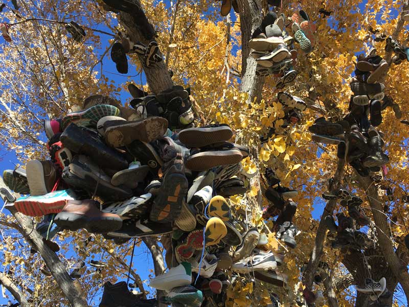 Shoe Tree Lonliest Road In America