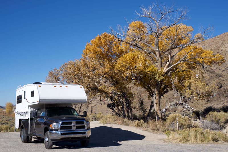 Shoe Tree In Nevada Highway 50