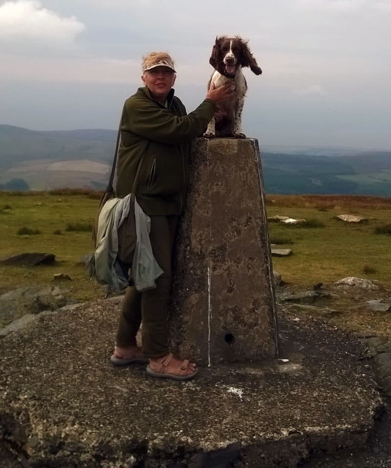 Springer Spaniel, Anya in Snaefell