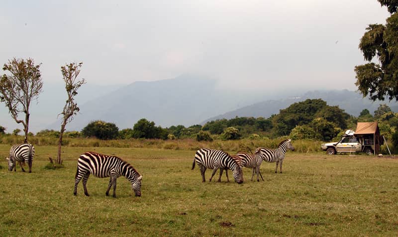 Ngorongoro National Park, Tanzania