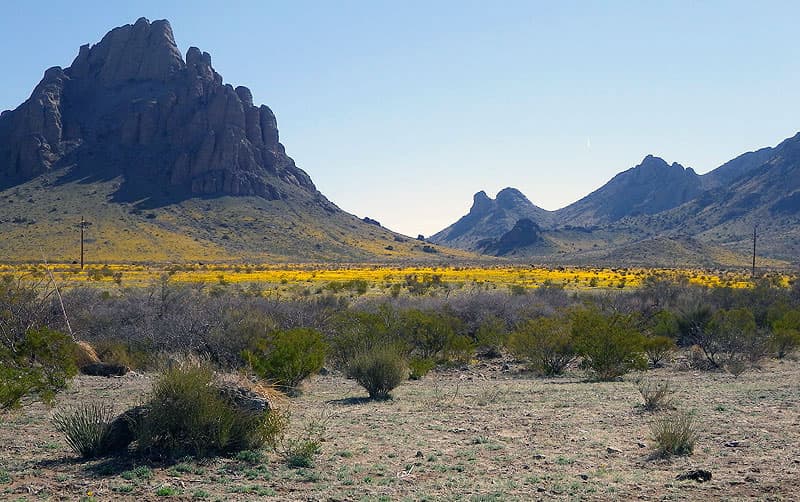 Spring-time-in-the-Florida Mountains New Mexico