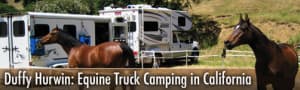 Equestrian Camping with Arabian Horses