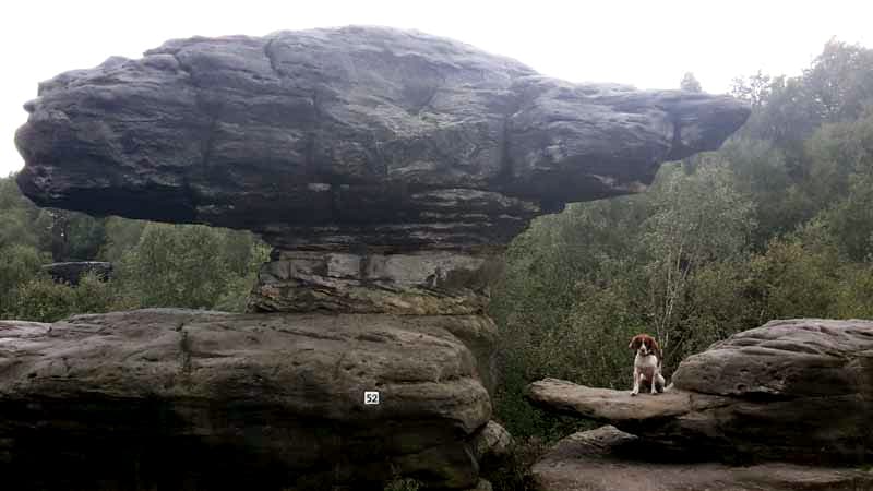 Tisa Sandstone Rocks