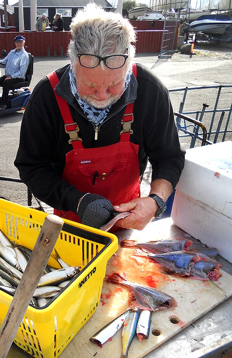 Dragor fisherman Denmark