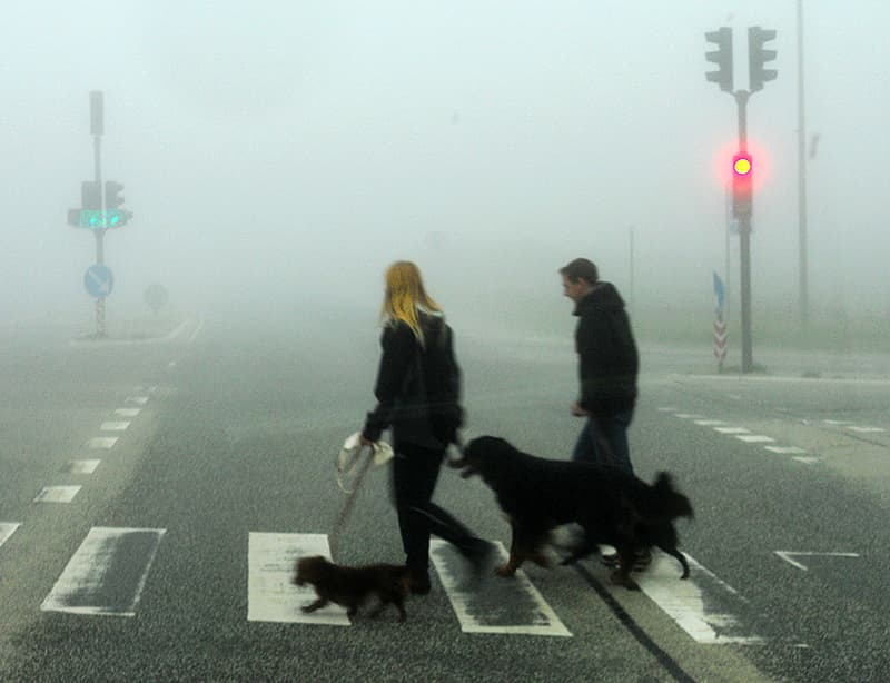 Fog on the beach Denmark