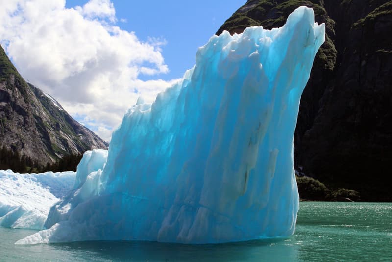 Tracy Arm Fjord ice