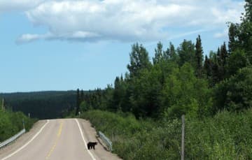 Trans-Labrador-Highway Newfoundland