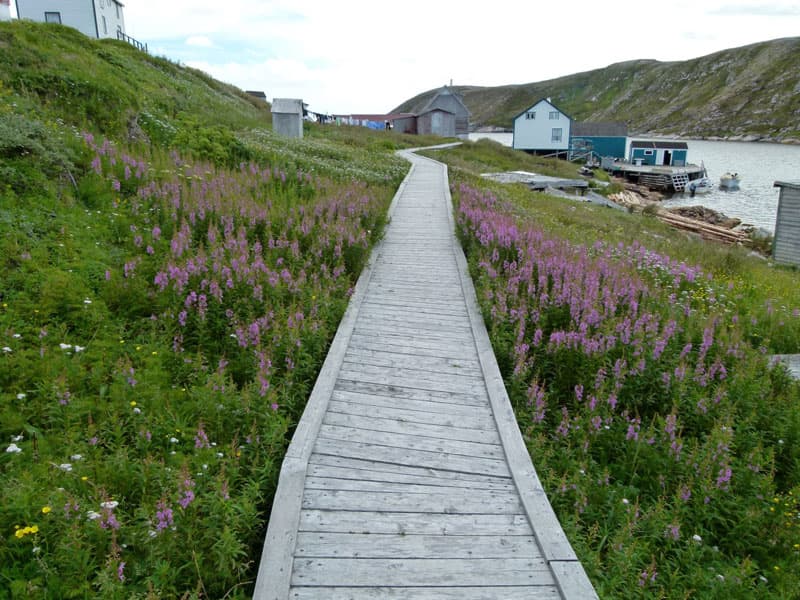 Red Bay is at the end of the Trans-Labrador Highway