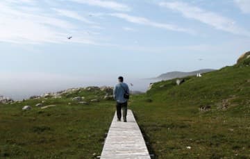 Saddle Island-Basque-Whaling