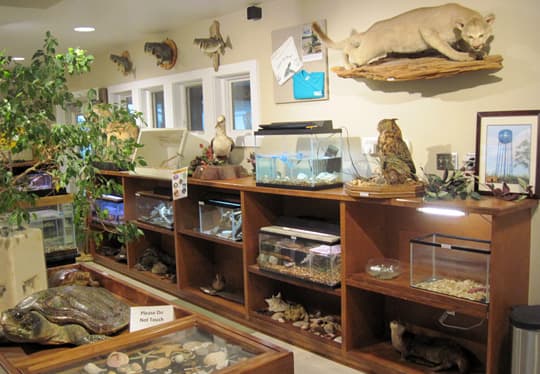 Florida-Panhandle-Nature-Center-2
