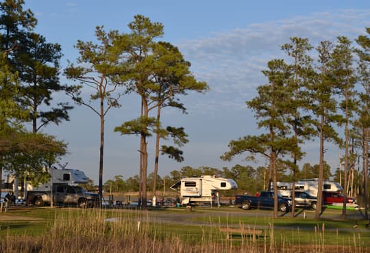 mid-atlantic-tall-pines-harbor-campground