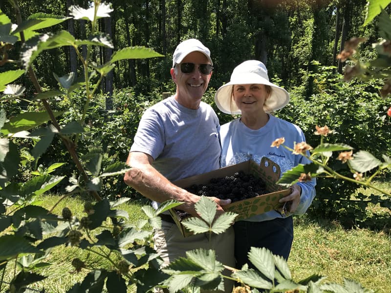 Stephen and Dorothy, pick your own farm