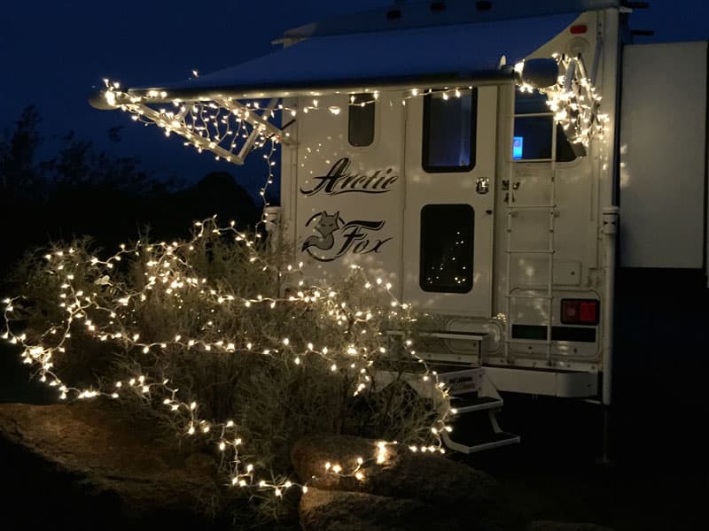 Arctic Fox Christmas lights