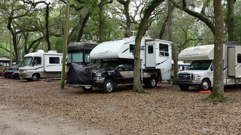 Bluegrass festival in Florida for Thanksgiving