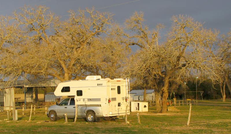 cattle-ranch-near-Cat-Springs-Texas