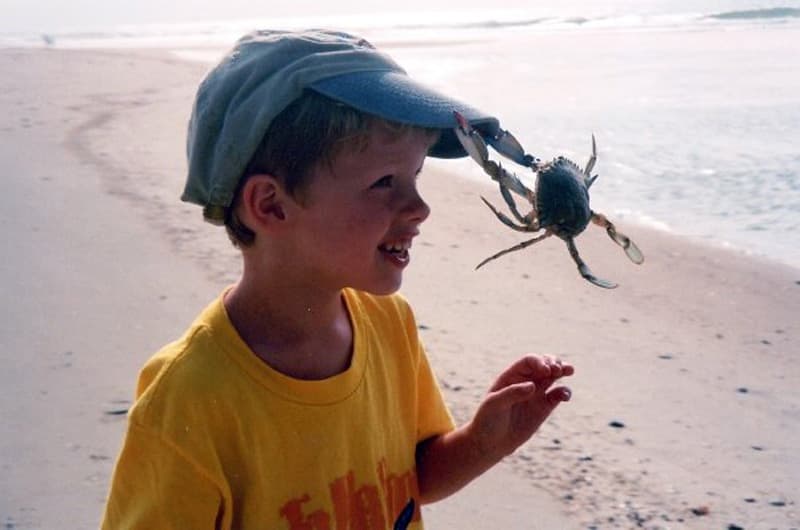 Crab At Outer Banks