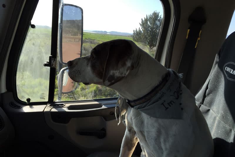 Parker riding in Freighliner truck