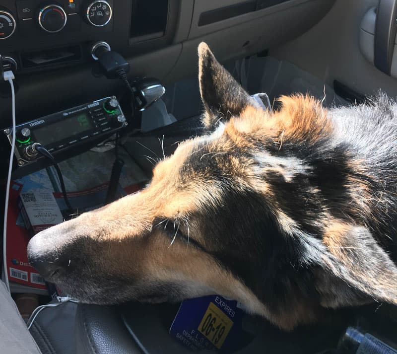 Best dog seat in truck