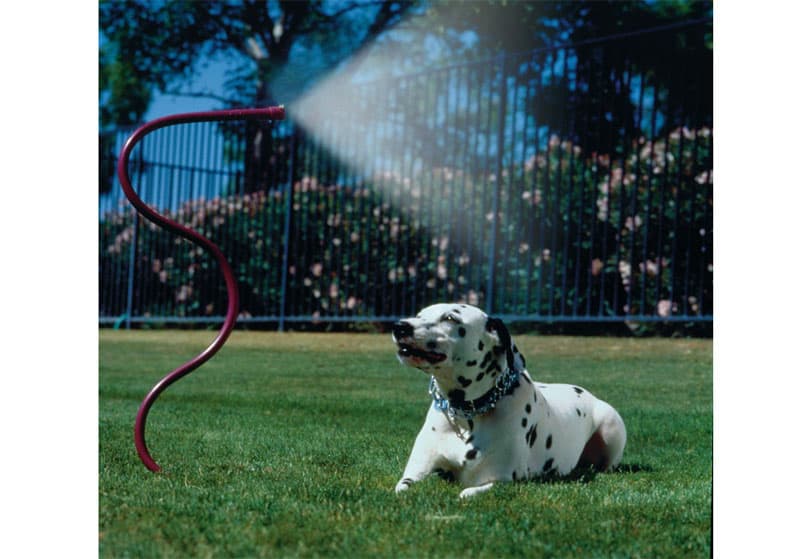 Hose mister to keep cool in summer when camping