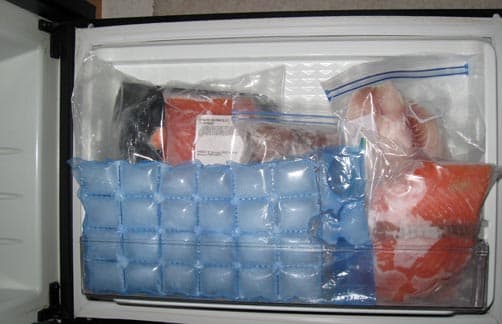 Freezer door packed with food