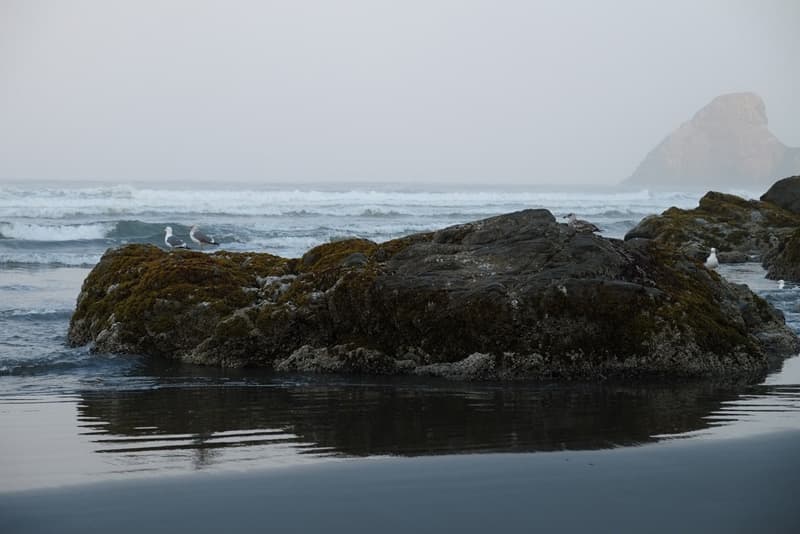 Moonstone Beach Trinidad Ca