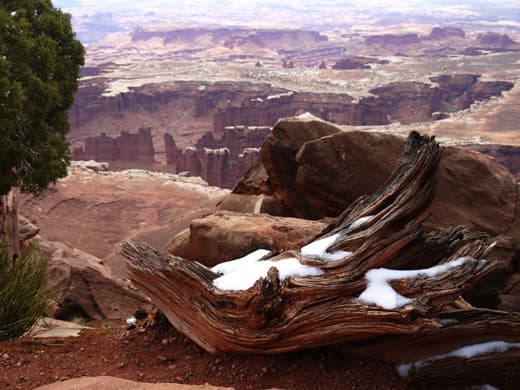 ruins-2-Canyonlands