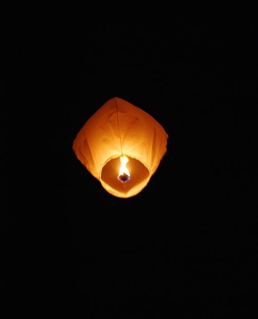 Mikee's Lantern