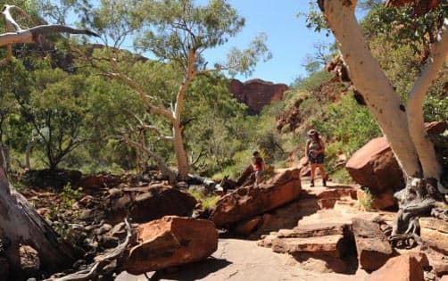Kings Canyon