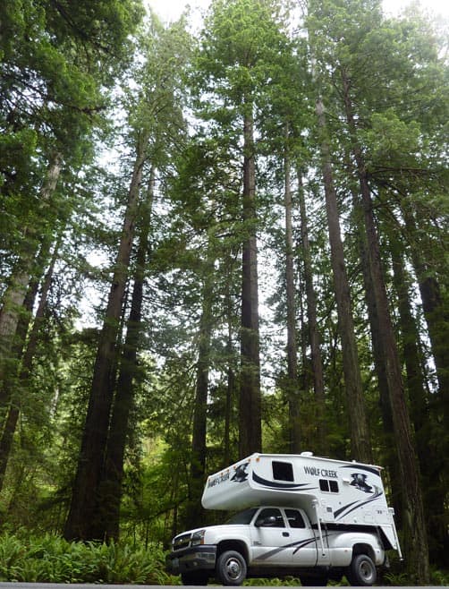 The Redwoods and the Wolf Creek 850