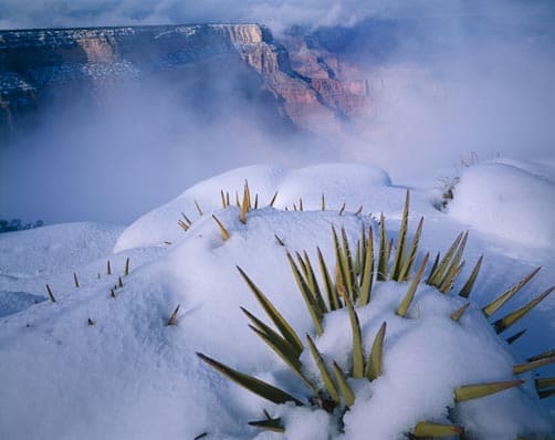 outside the Grand Canyon National Park