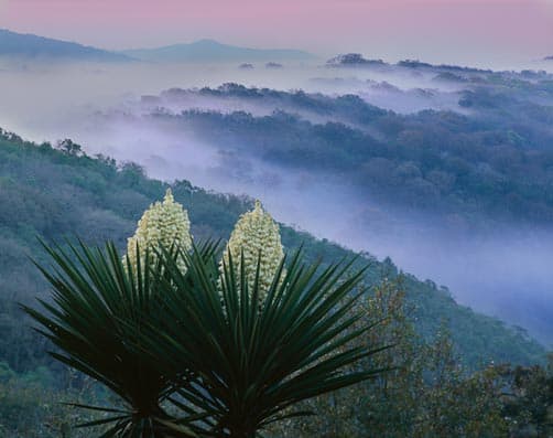 Sierra Tamaulipas, in Tamaulipas State of Mexico