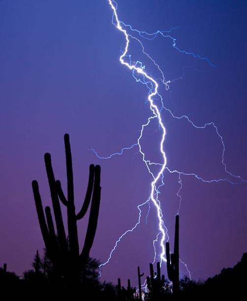 Desert summer monsoon storms are violent and ephemeral