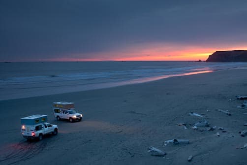 Jack Dykinga's FWC Eagle on the beach