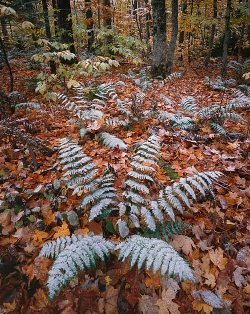 Vermont's Green Mountains